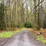 Dom wakacyjny Sophisticated In Near Forest *