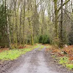 Sophisticated In Near Forest * Lierneux