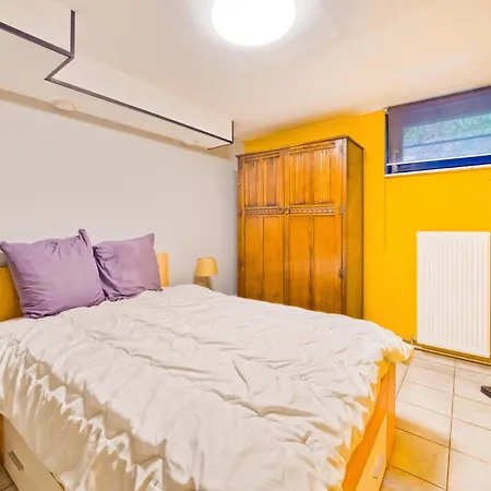 Sophisticated In Near Forest