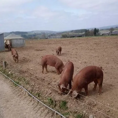 Semesterbostad Sophisticated In Near Forest *