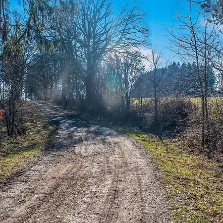 Sophisticated In Near Forest Feriehus Lierneux