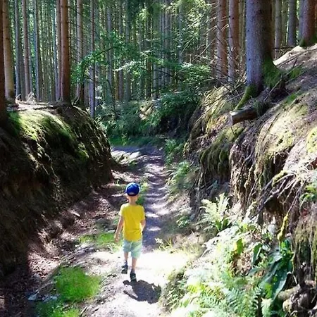 Sophisticated In Near Forest