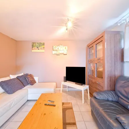 Sophisticated In Near Forest