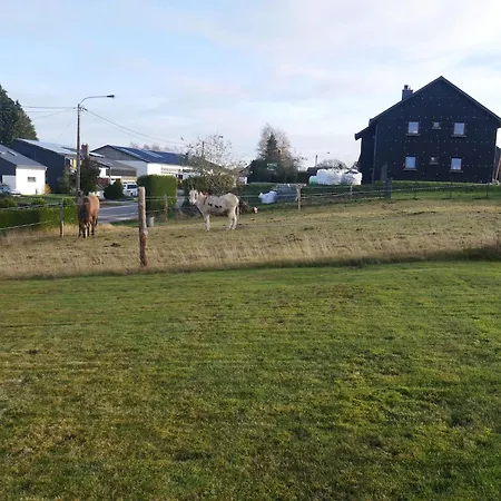 Sophisticated In Near Forest *