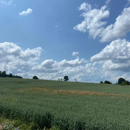 Sophisticated In Near Forest *