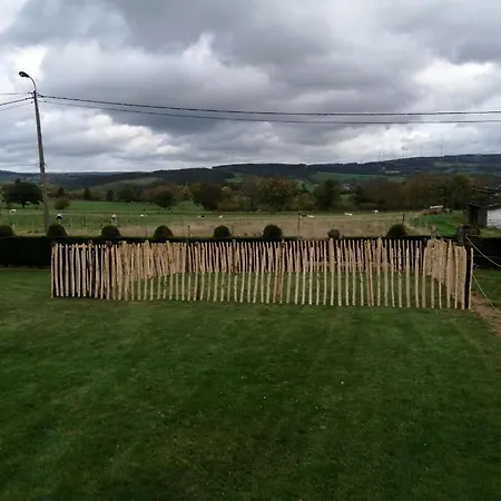 Sophisticated In Near Forest *