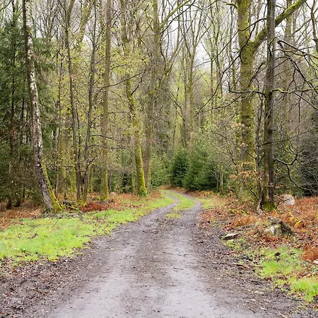 Sophisticated In Near Forest * Lierneux